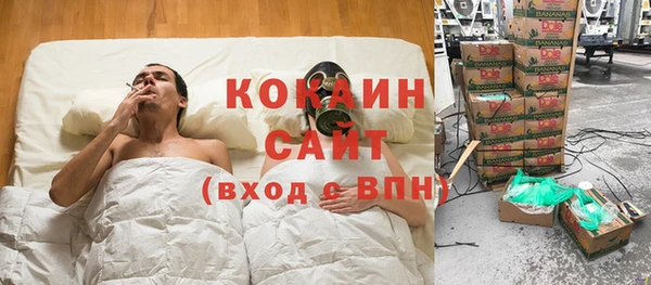 соль ск Бородино