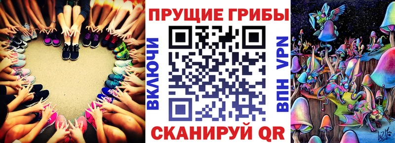 Купить закладки  Осташков  Псилоцибиновые грибы прущие грибы 